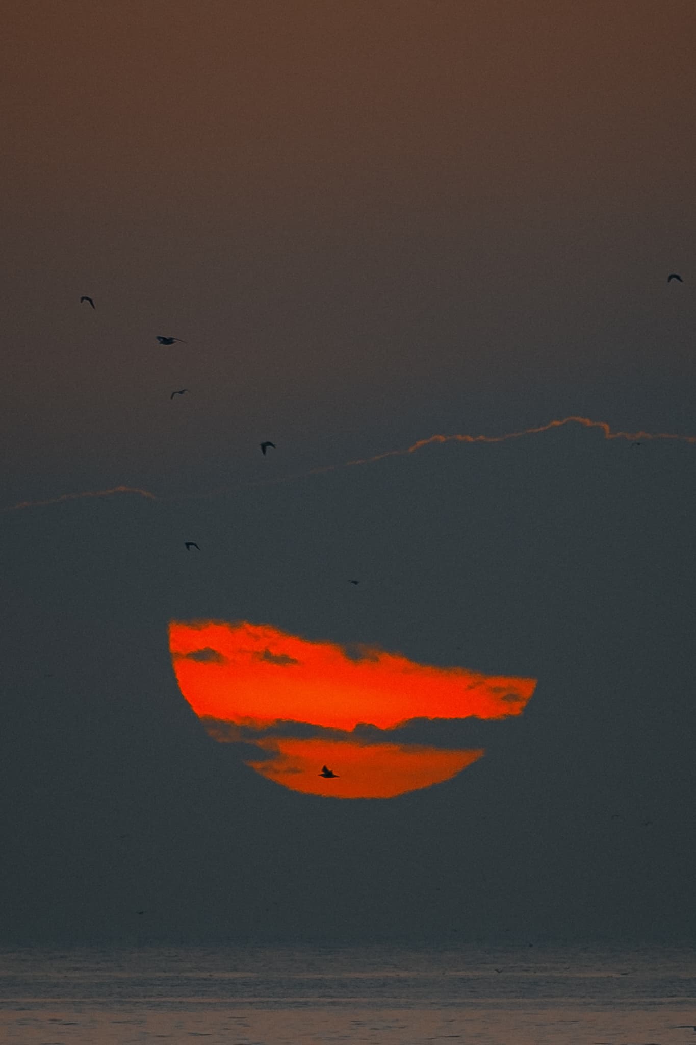 Image 17