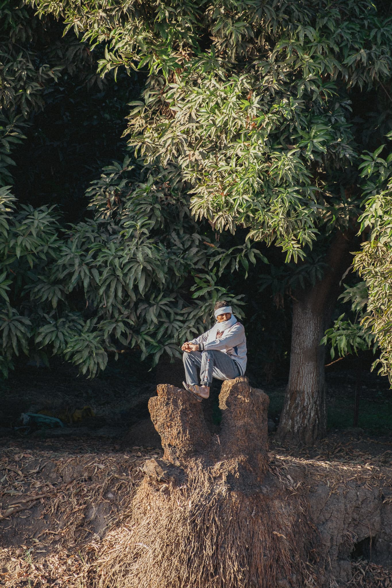 Image 11