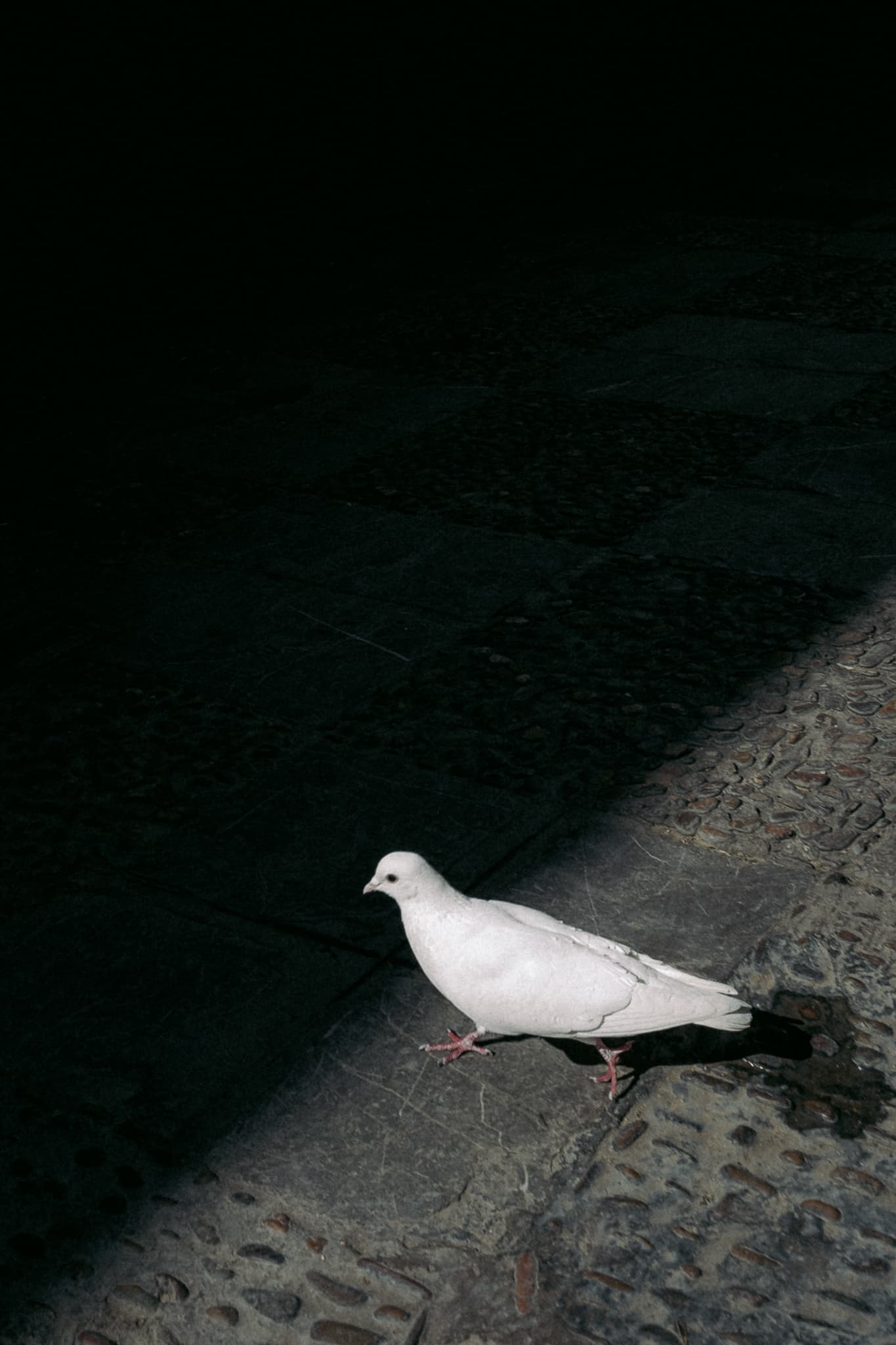 Image 30
